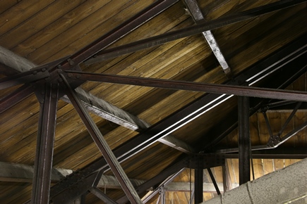 Wed IMG_5287 Joists